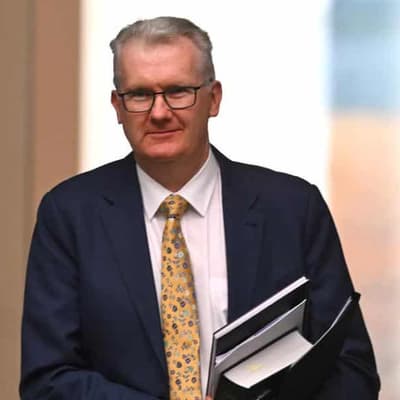 Minister made phone call before Venice pick reversal
