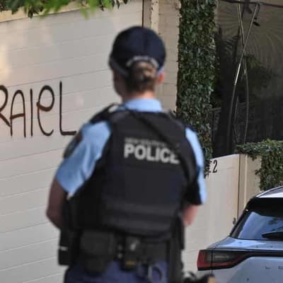 Crime links in spotlight as anti-Semitic probes zero in