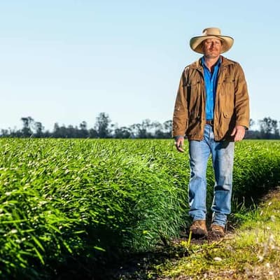 'More gaps, more drop-outs': rise in complaints post-3G