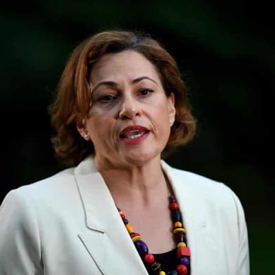 'Petty': ex-deputy premier slams LNP report release