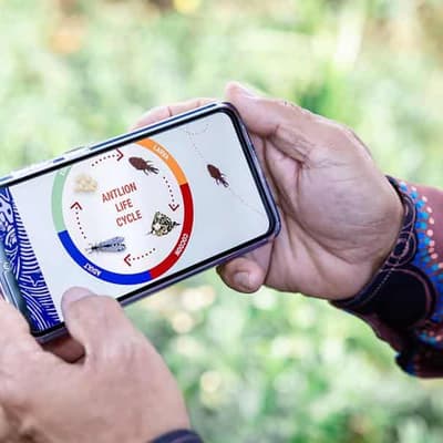 Preserving cultural knowledge and language using AI