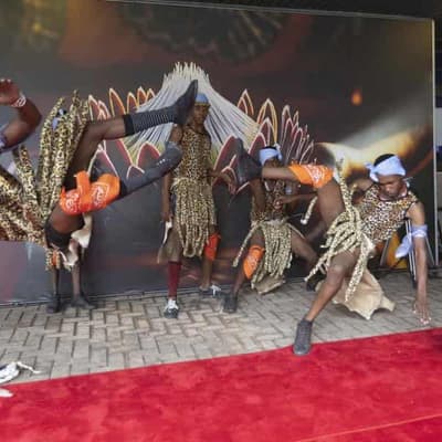 Diplomats discuss Ukraine war at G20 in South Africa