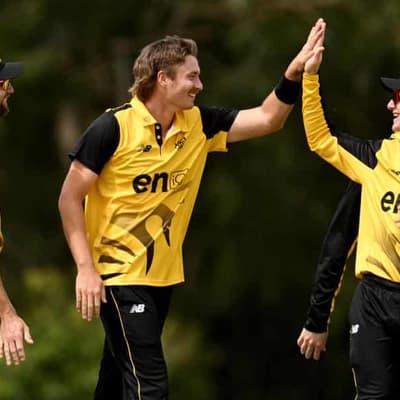 Bulls miss one-day final after crushing loss to WA