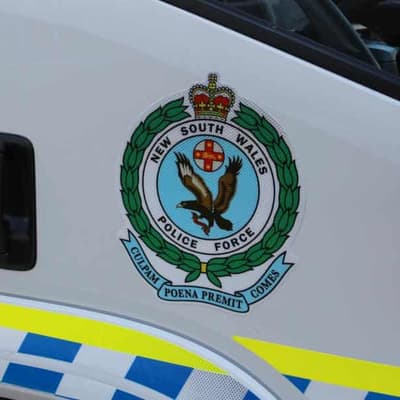 Man charged over alleged Nazi display at war memorial