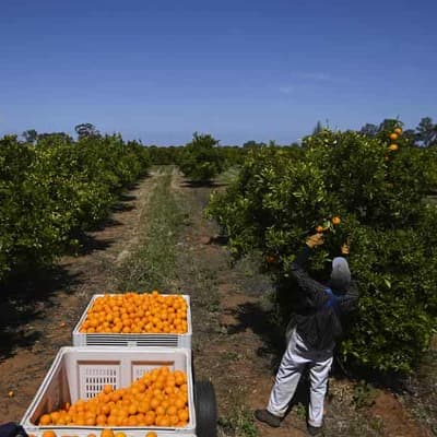 Pacific worker labour scheme wage boost changes delayed