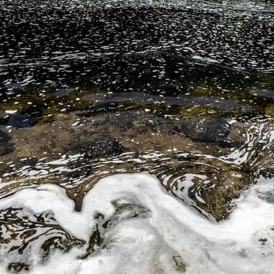 Free tests could become 'forever chemicals' case study