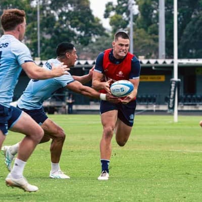 Waratah's rise from whipping boy to Suaalii replacement