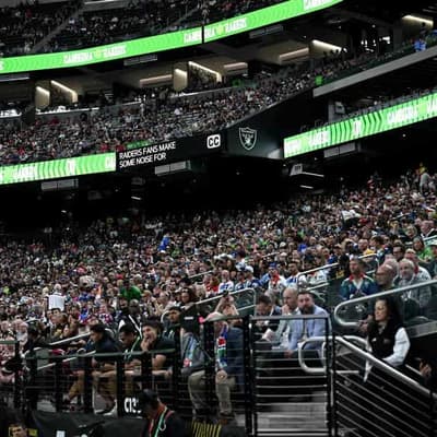 NRL probe complaint against Warriors' assistant coach