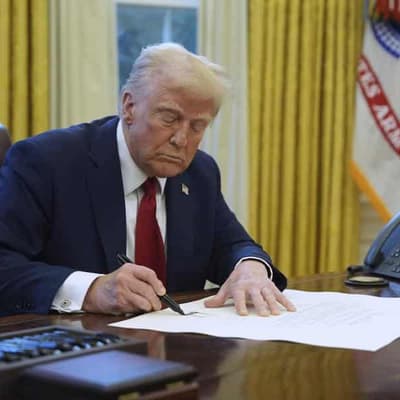 Stocks tumble as Trump locks in Canada, Mexico tariffs