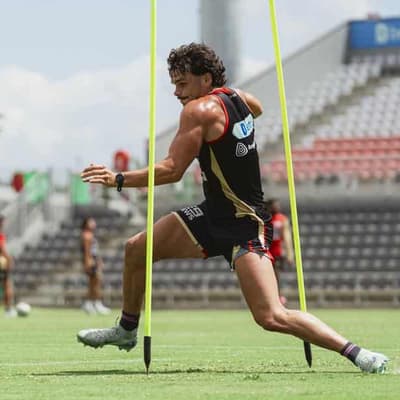 Dolphins centre's rise to stardom poles apart from rest