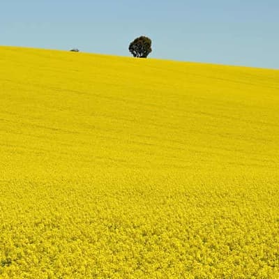 Green fuel cash injection prepares market for take-off