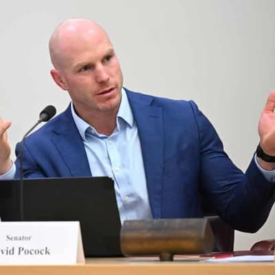 Political truth laws get tick, AI threat to poll pruned