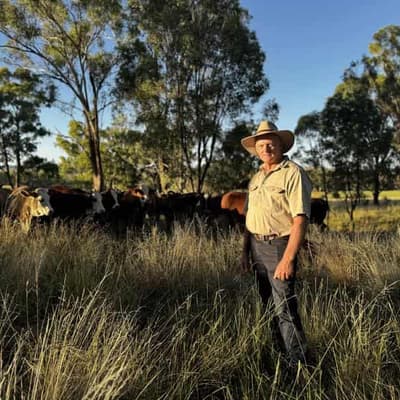'Wake up': farmers face more pressure on deforestation