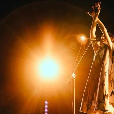 Shape-shifting PJ Harvey brings theatre to Womadelaide