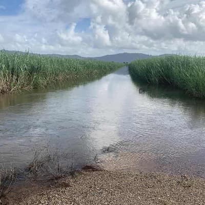 'Feast or famine': farmers count the cost of heavy rain