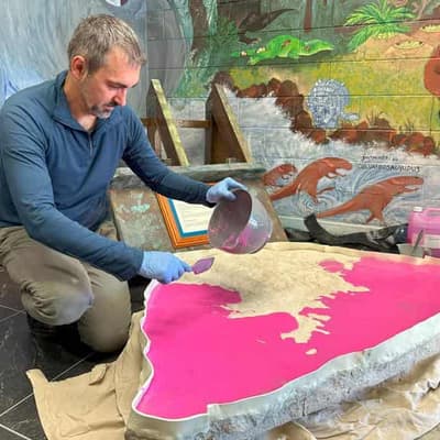 Dinosaur secret unearthed after hiding in plain sight