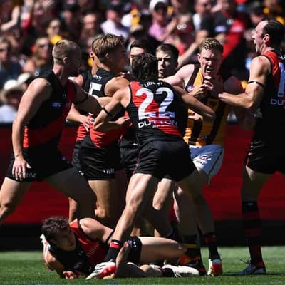 No love lost between Hawthorn and Essendon: Mitchell