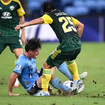 Socceroos coach Popovic expresses concern over pitch