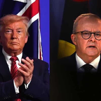 US tariffs should be a 'wake-up call' for Australia