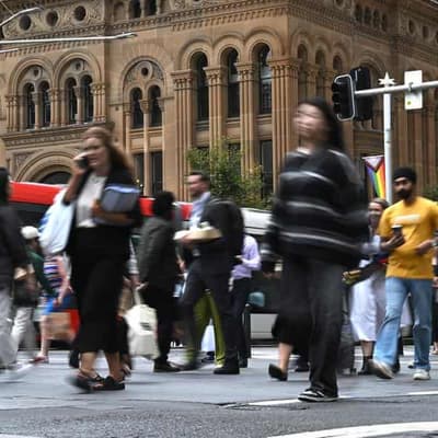 Jobs market to hold strong in face of tariff threat