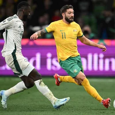 Borrello on board in Popovic's pursuit of perfection