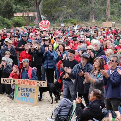 Anti-salmon protest fills beach amid mass farm deaths