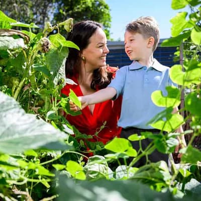 AI giant helping grow greenhouses in Australian schools