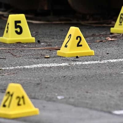 Tougher bail key to stopping crime surge, says top cop