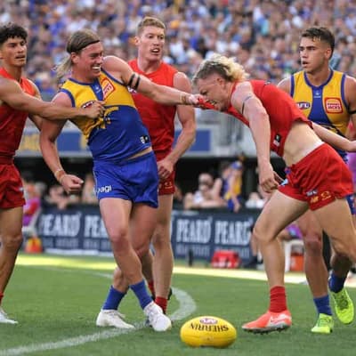 Eagles coach looks to Reid a new chapter against Lions