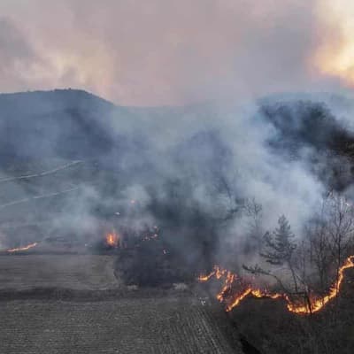 Firefighters killed as South Korea battles wildfires