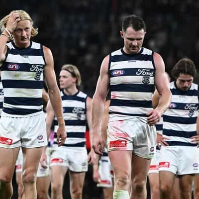 Cats' eyes on Stewart, Smith ahead of Lions blockbuster