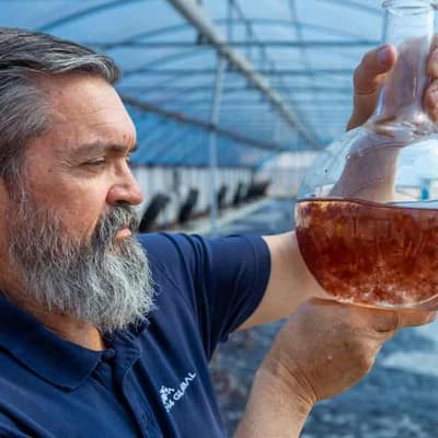 Climate fighters find innovative way to feed the beast