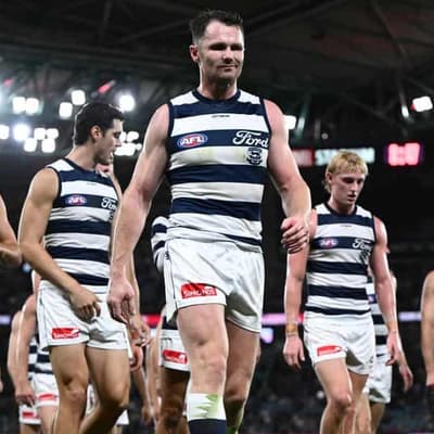 Geelong star Dangerfield escapes AFL ban for high elbow