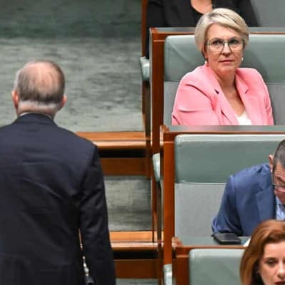 Move to enshrine eco approval smells fishy, critics say