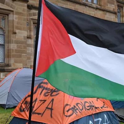 University staff add voices to pro-Palestinian protests