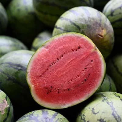 No evidence that eating watermelon seeds cures cancer