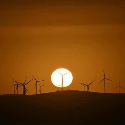 App to reveal how much farmers can reap from renewables