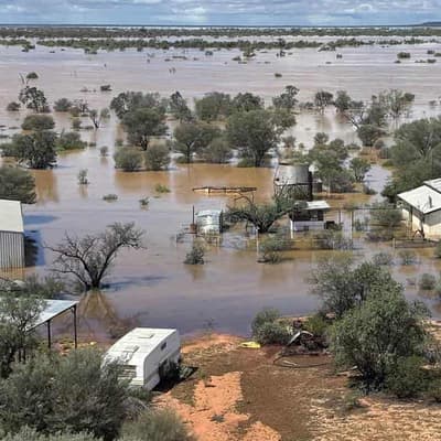 'You could bog a duck': record flooding hits outback