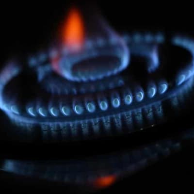 Coalition energises race for votes with gas and petrol