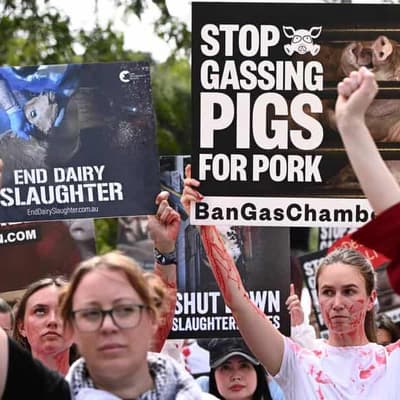 Slaughterhouse protest chokes city streets