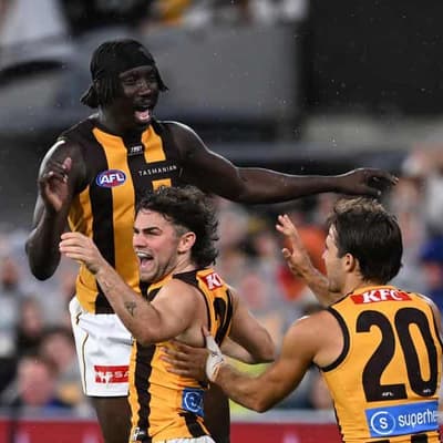 Hawks rally to beat Giants, maintain unbeaten AFL run