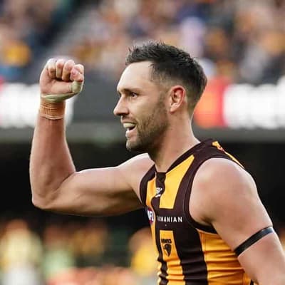 Hawthorn praised for maturity in windy AFL comeback