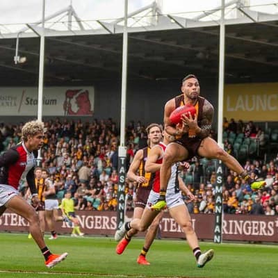 Hawthorn should share Tasmania with Devils: coach