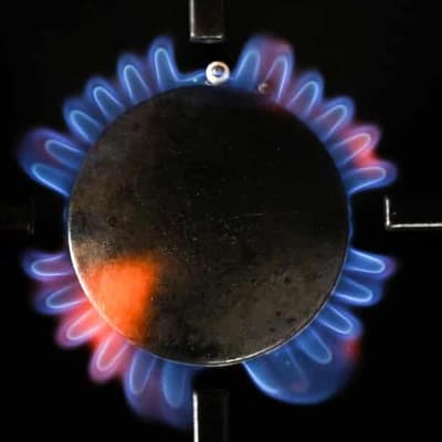 'Own goal': gas producers lash export control policies