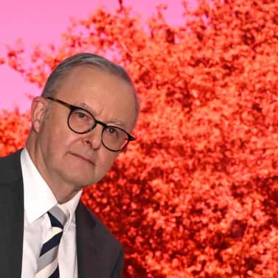 PM derides 'aggro' Dutton as US tariff threat looms