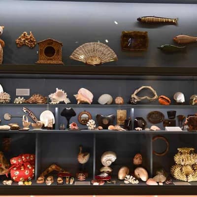 Collation of quirky collections a compelling exhibition