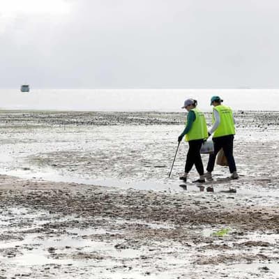 Beaches much cleaner as litterbugs get the message