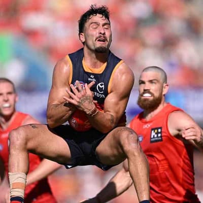 Crows say AFL confirming umpire mistake is of no use