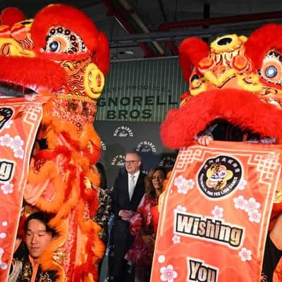 Albanese beats drum on economy as trade clouds gather