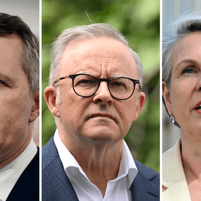 Labor's attack on Dutton 'cuts' isn't the full picture